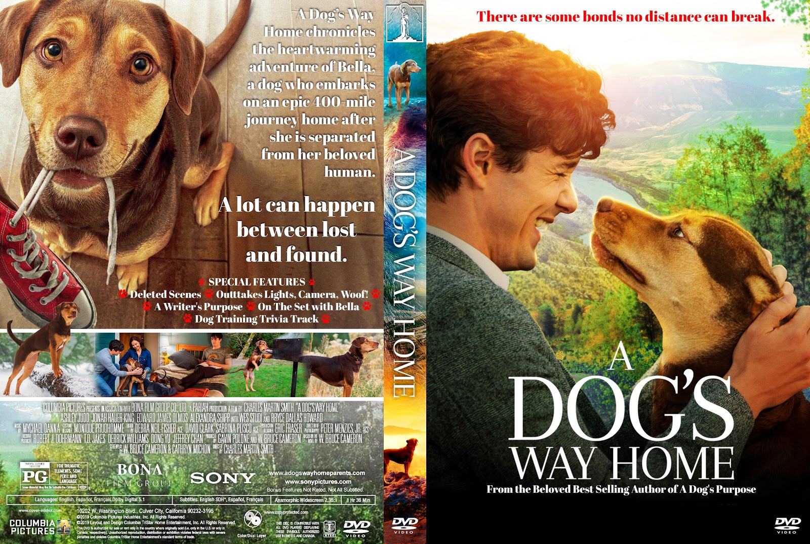 A Dogs Way Home
