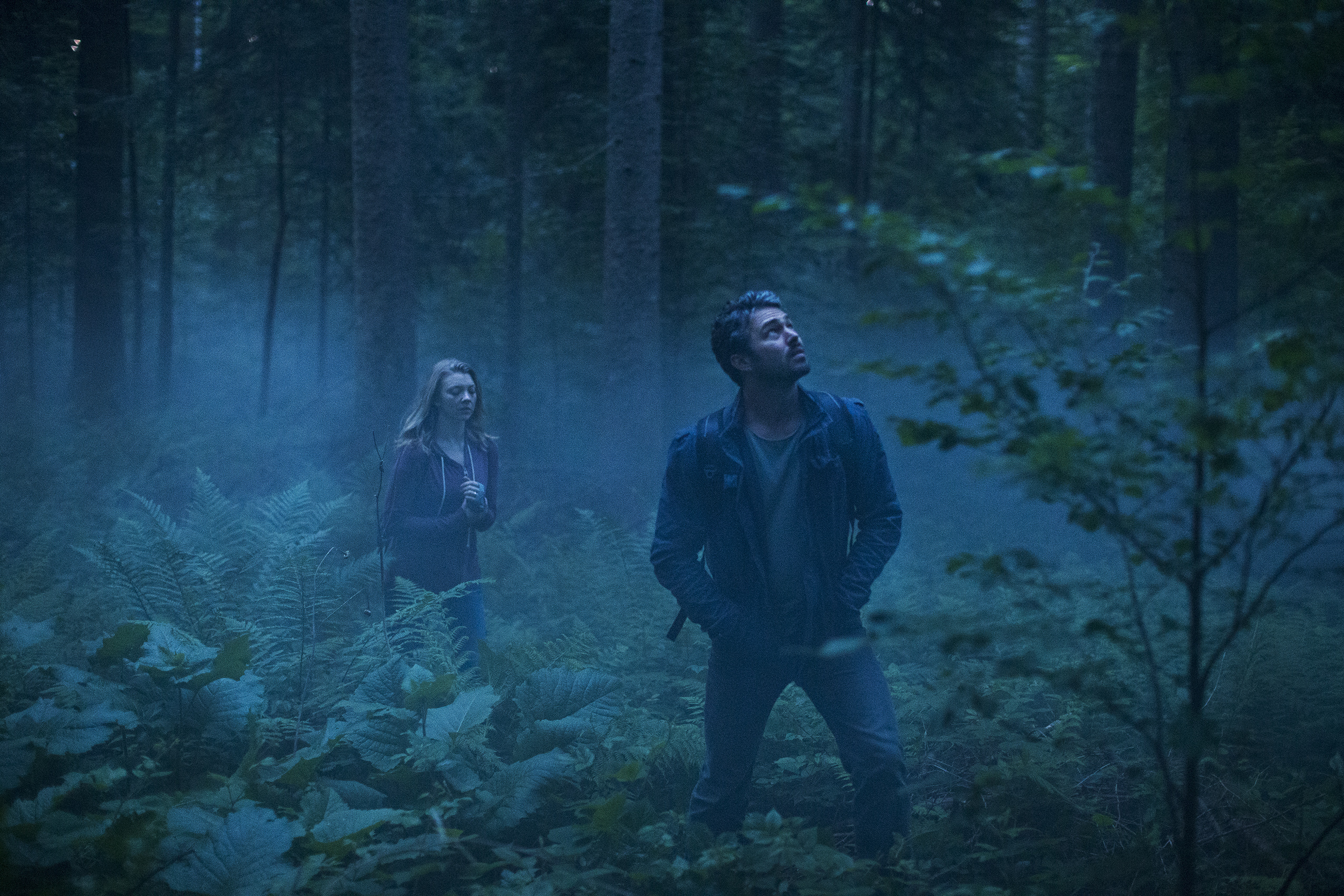 THE FOREST