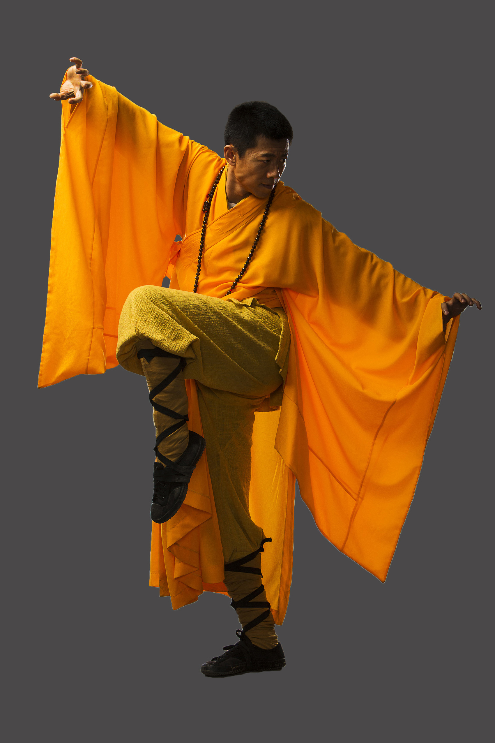 Birth of the Dragon 4